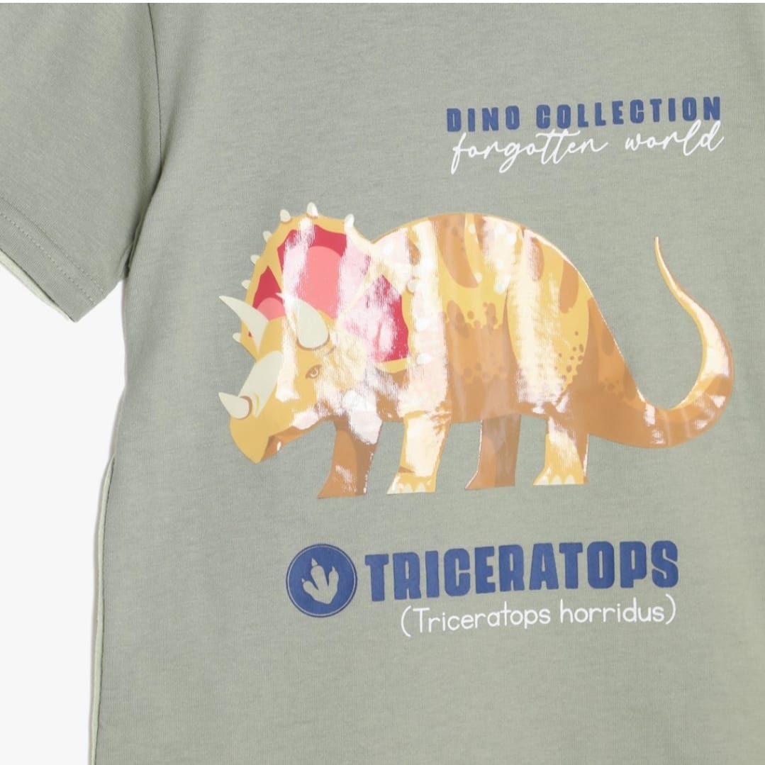 POLO VERDE TRICERATOPS YAMP! BOYS