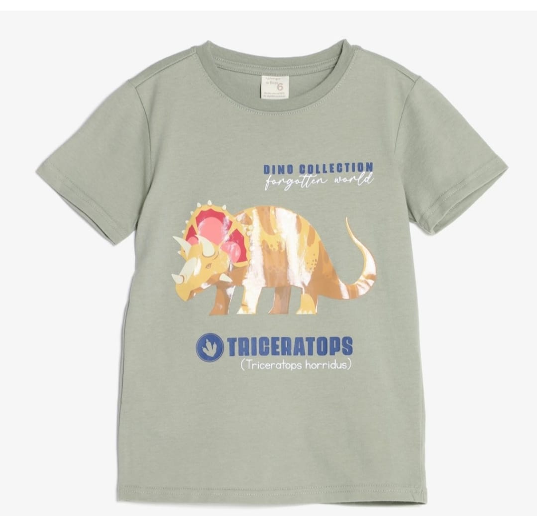 POLO VERDE TRICERATOPS YAMP! BOYS