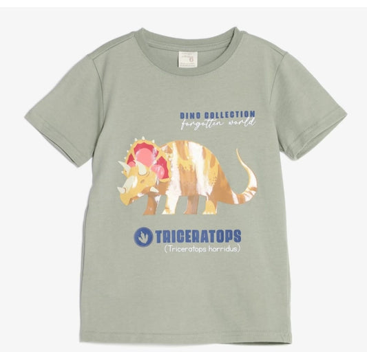 POLO VERDE TRICERATOPS YAMP! BOYS